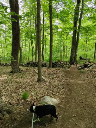 Birch Rocks Sanctuary - Brookfield, CT