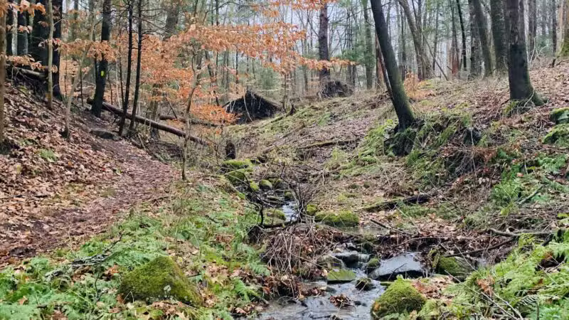 Birch Rocks Sanctuary - Brookfield, CT