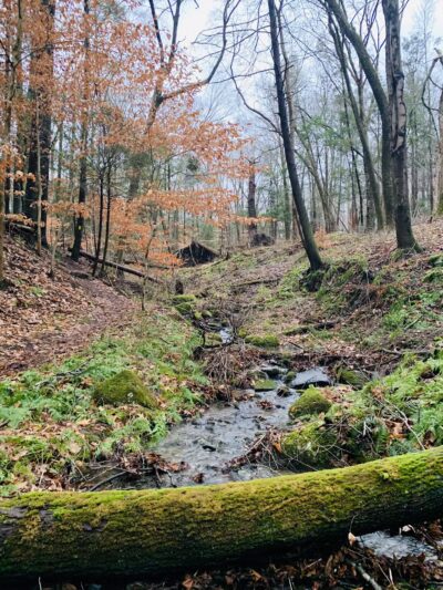 Birch Rocks Sanctuary - Brookfield, CT