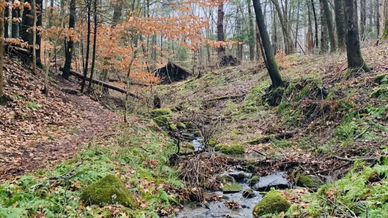 Birch Rocks Sanctuary - Brookfield, CT