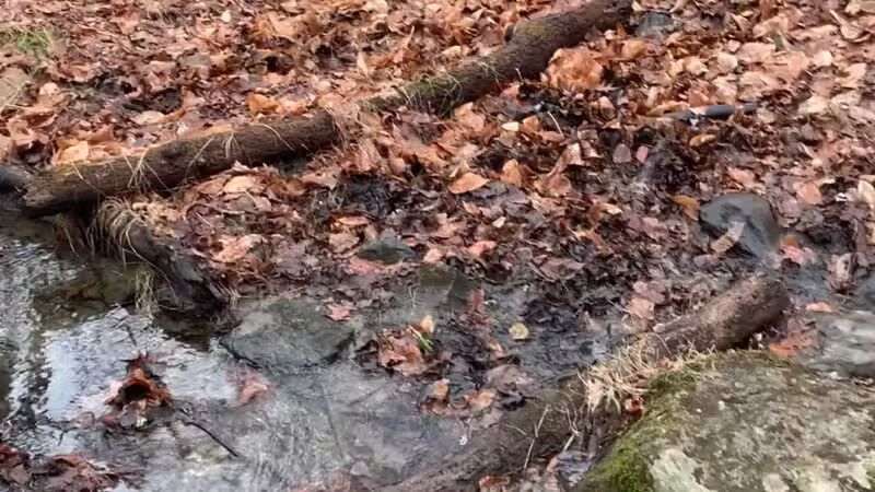 Birch Rocks Sanctuary - Brookfield, CT