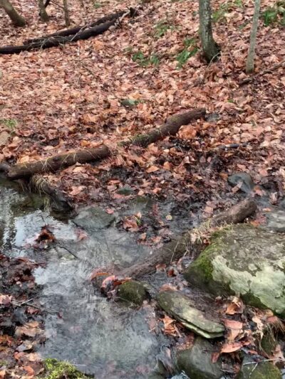 Birch Rocks Sanctuary - Brookfield, CT