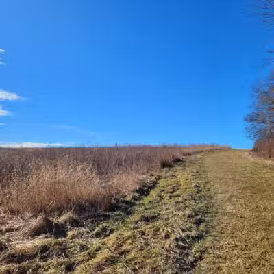 Happy Landings Protected Open Space - Brookfield, CT