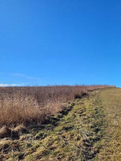 Happy Landings Protected Open Space - Brookfield, CT