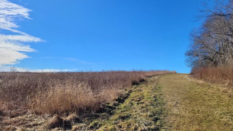 Happy Landings Protected Open Space - Brookfield, CT