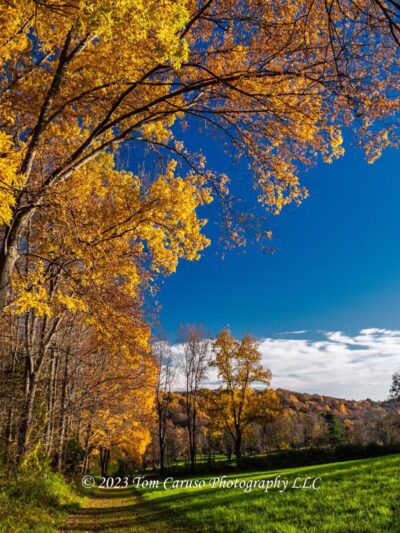 Williams Park - Brookfield, CT