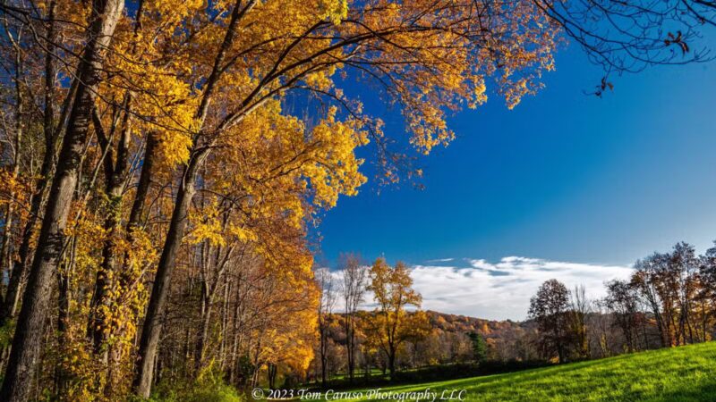 Williams Park - Brookfield, CT