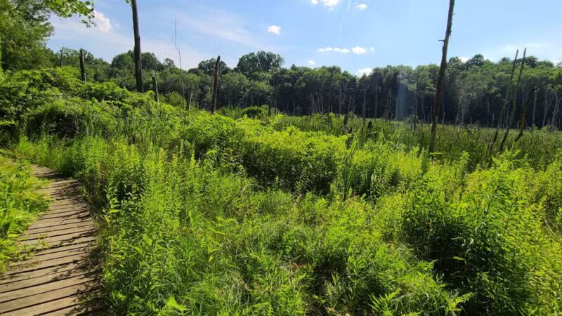 Williams Park - Brookfield, CT