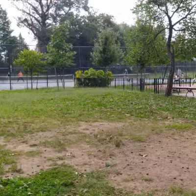 Friends Field - Brooklyn, NY