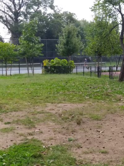 Friends Field - Brooklyn, NY