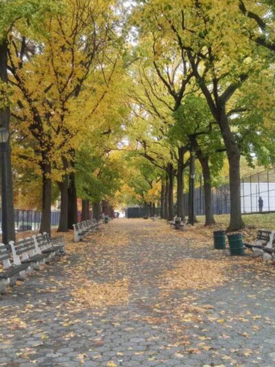 Lincoln Terrace / Arthur S. Somers Park - Brooklyn, NY