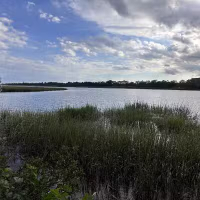 Marine Park Salt Marsh Nature Trail - Brooklyn, NY