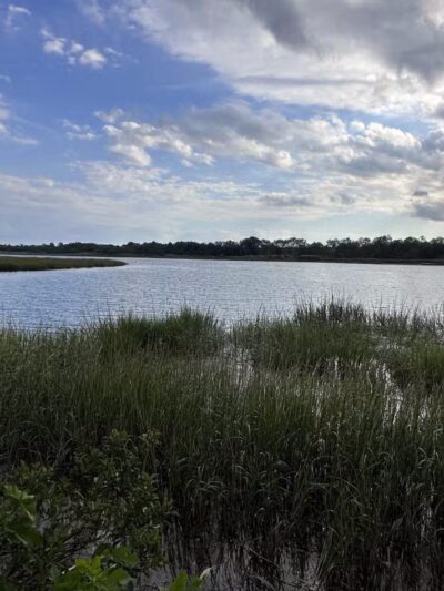 Marine Park Salt Marsh Nature Trail - Brooklyn, NY
