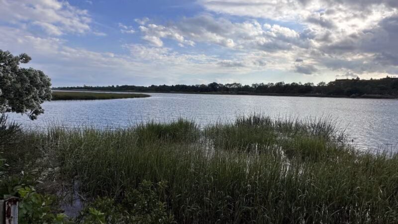 Marine Park Salt Marsh Nature Trail - Brooklyn, NY