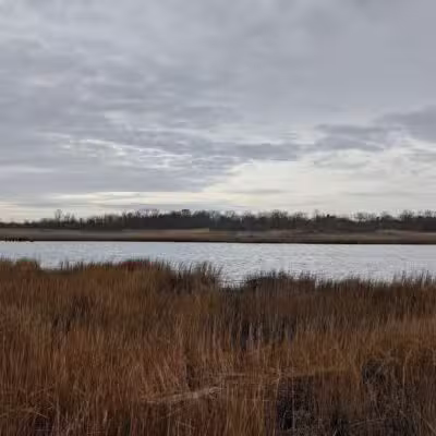 Marine Park Salt Marsh Nature Trail - Brooklyn, NY