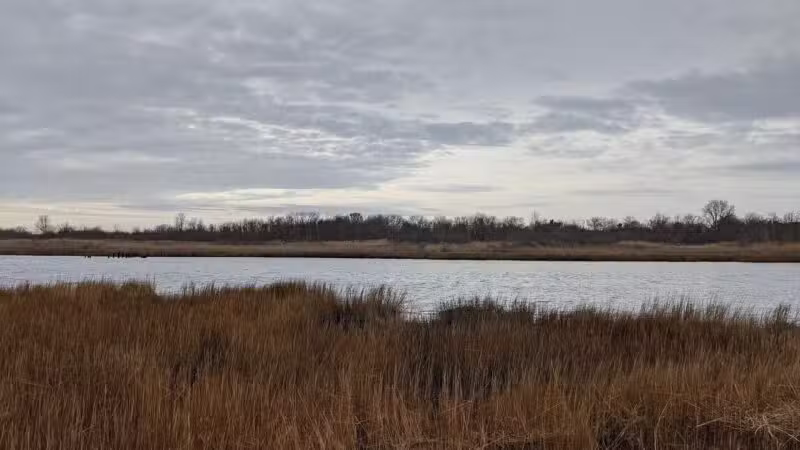 Marine Park Salt Marsh Nature Trail - Brooklyn, NY