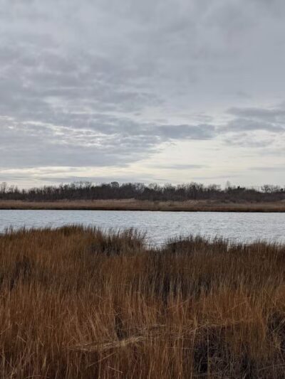 Marine Park Salt Marsh Nature Trail - Brooklyn, NY