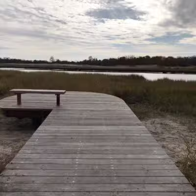 Marine Park Salt Marsh Nature Trail - Brooklyn, NY