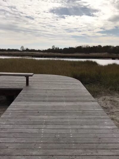 Marine Park Salt Marsh Nature Trail - Brooklyn, NY