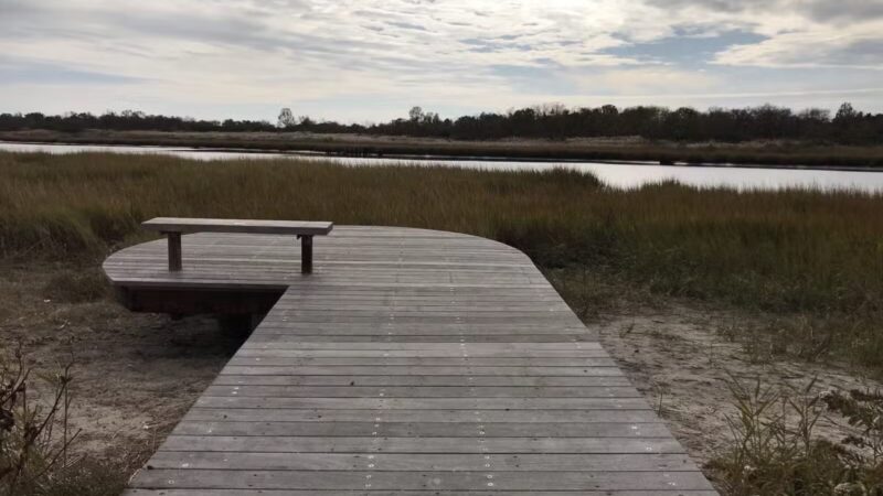 Marine Park Salt Marsh Nature Trail - Brooklyn, NY
