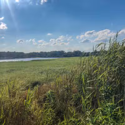 Marine Park Salt Marsh Nature Trail - Brooklyn, NY