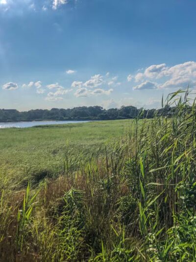 Marine Park Salt Marsh Nature Trail - Brooklyn, NY