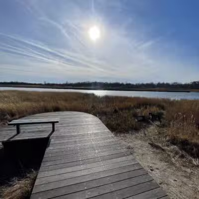 Marine Park Salt Marsh Nature Trail - Brooklyn, NY