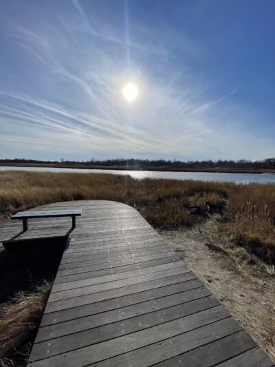 Marine Park Salt Marsh Nature Trail - Brooklyn, NY