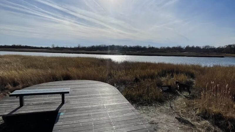 Marine Park Salt Marsh Nature Trail - Brooklyn, NY