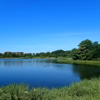 Marine Park Salt Marsh Nature Trail - Brooklyn, NY