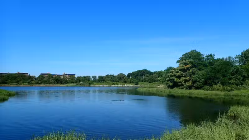 Marine Park Salt Marsh Nature Trail - Brooklyn, NY