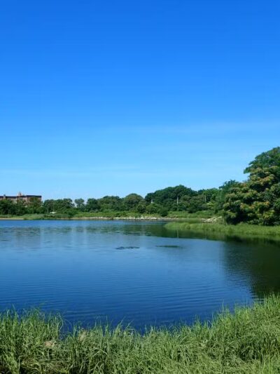 Marine Park Salt Marsh Nature Trail - Brooklyn, NY