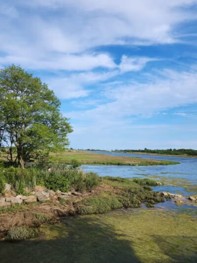 Marine Park Salt Marsh Nature Trail - Brooklyn, NY