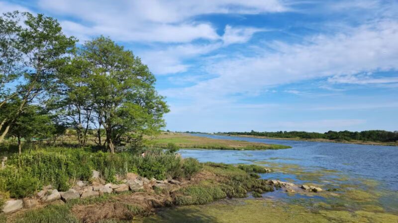 Marine Park Salt Marsh Nature Trail - Brooklyn, NY
