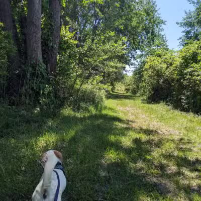 North Forty Natural Area - Brooklyn, NY