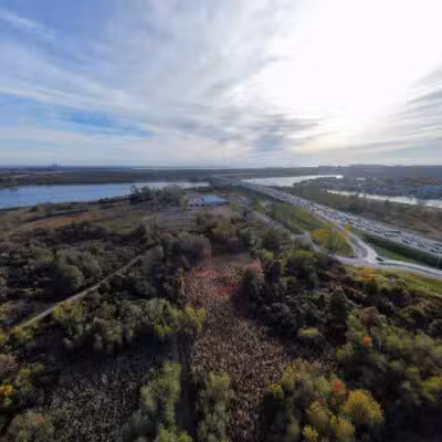 North Forty Natural Area - Brooklyn, NY