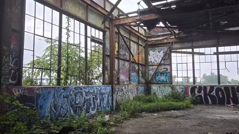 North Forty Natural Area - Brooklyn, NY