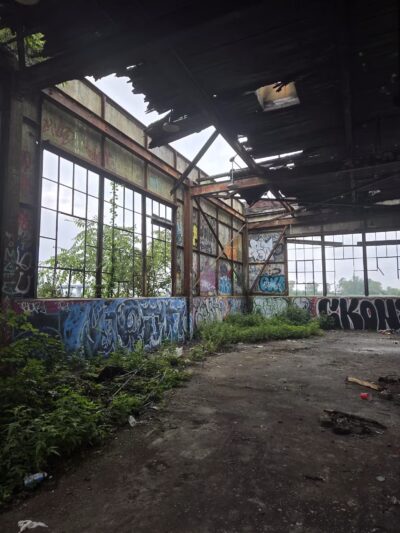 North Forty Natural Area - Brooklyn, NY