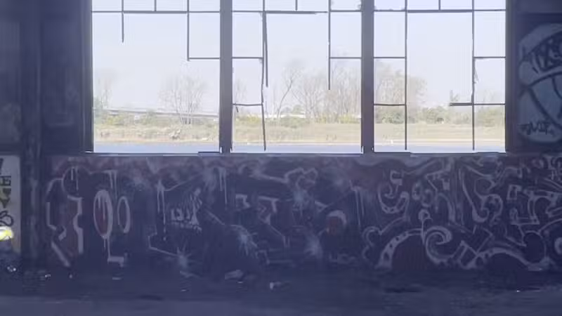 North Forty Natural Area - Brooklyn, NY