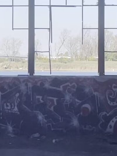 North Forty Natural Area - Brooklyn, NY