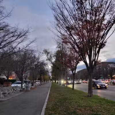 Ocean Parkway Malls - Brooklyn, NY