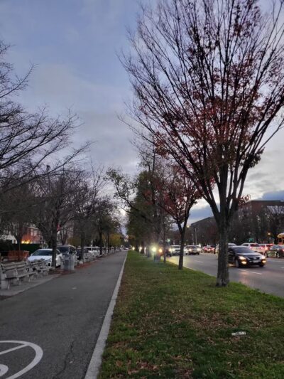 Ocean Parkway Malls - Brooklyn, NY