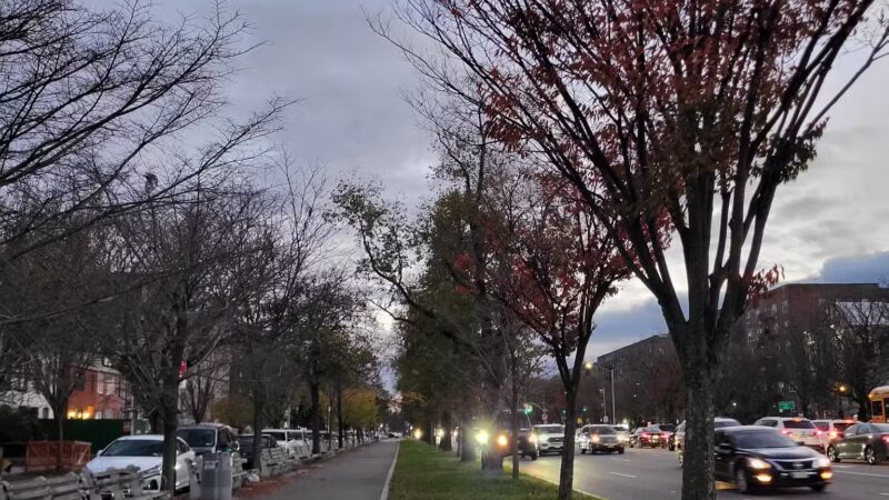 Ocean Parkway Malls - Brooklyn, NY