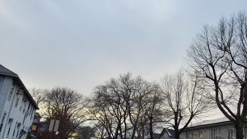 Ocean Parkway Malls - Brooklyn, NY