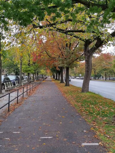 Ocean Parkway Malls - Brooklyn, NY