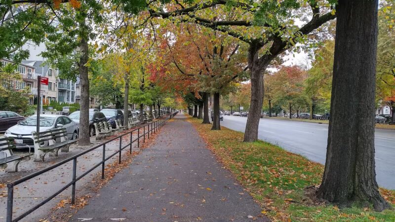 Ocean Parkway Malls - Brooklyn, NY