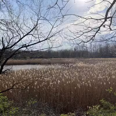 Ridgewood Reservoir - Brooklyn, NY