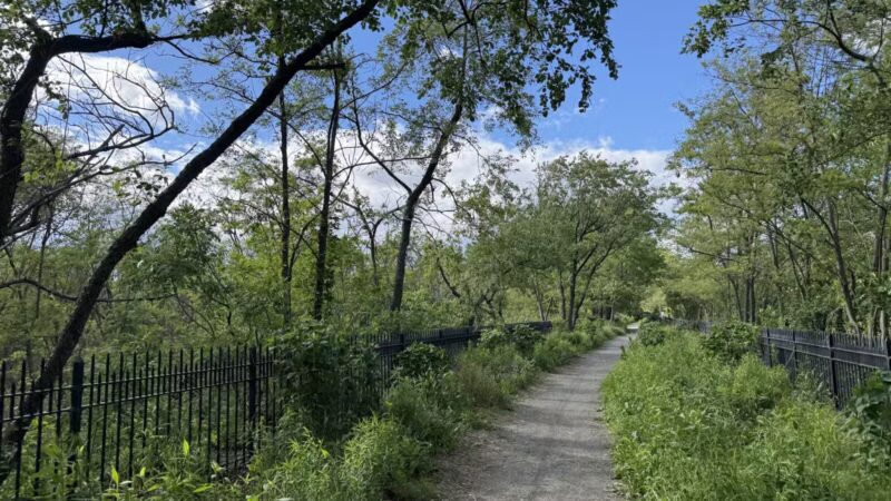 Ridgewood Reservoir - Brooklyn, NY