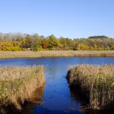 Ridgewood Reservoir - Brooklyn, NY
