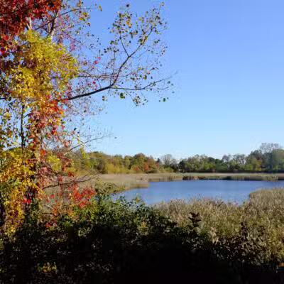 Ridgewood Reservoir - Brooklyn, NY